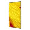 NEC MultiSync ME551 | 55″ | Garanti 1 år - Bild 2
